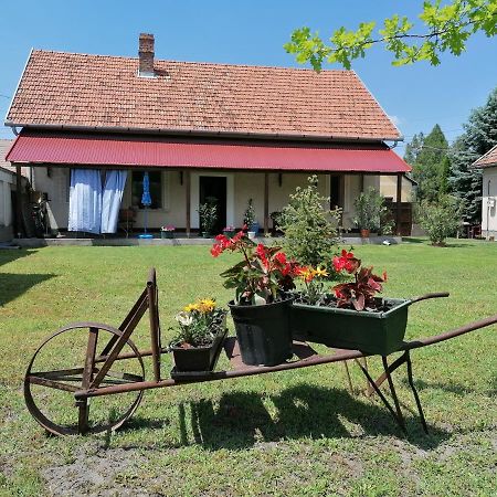 Istvan Vendeghaz Mórahalom Exterior foto
