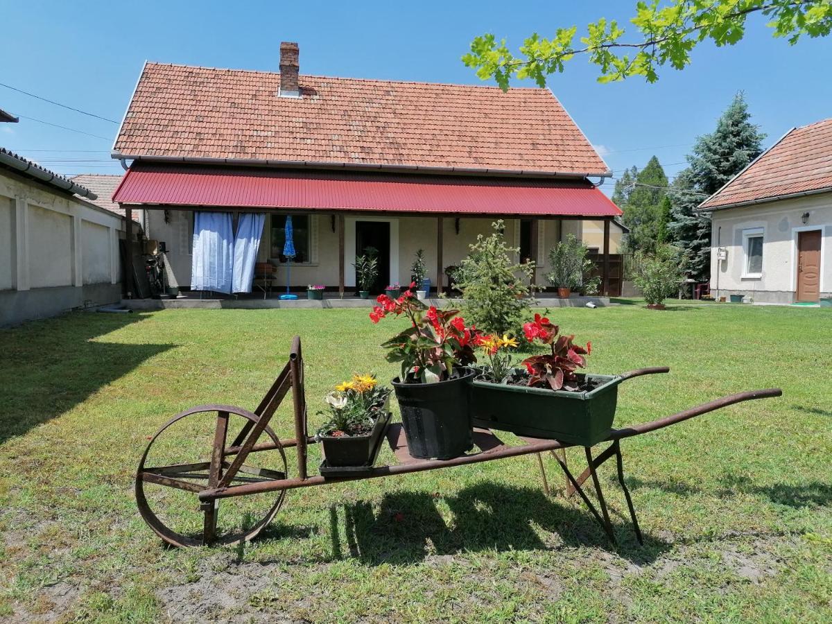 Istvan Vendeghaz Mórahalom Exterior foto